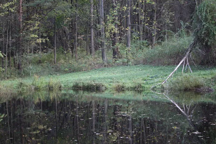 Cherry Creek Campground and Recreation Picture 4