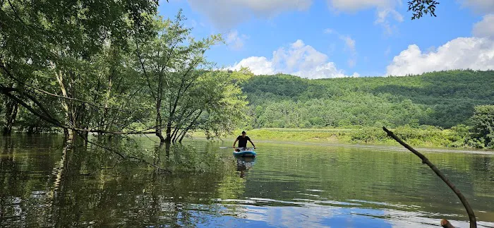 Howard Island South Campsite Picture 1