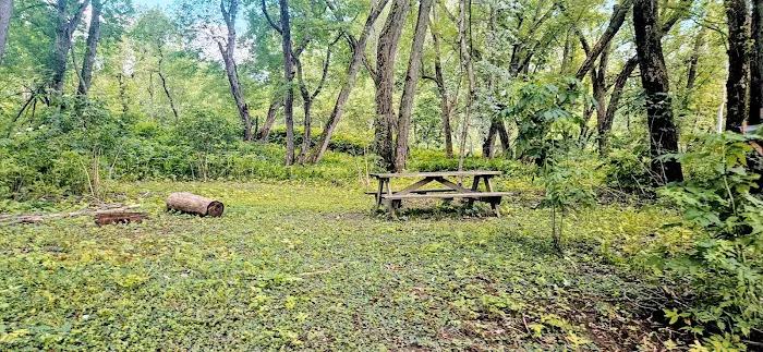 Howard Island South Campsite Picture 2
