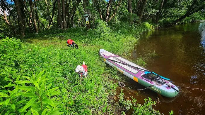 Howard Island South Campsite Picture 4
