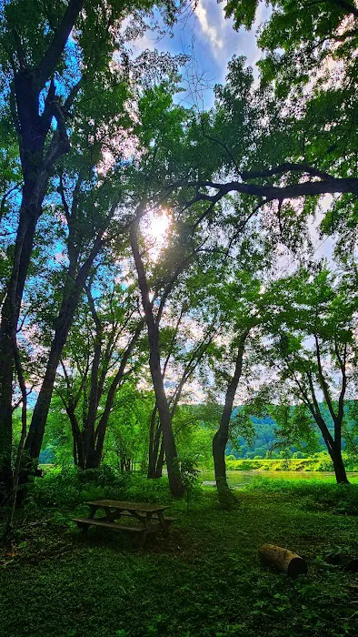 Howard Island South Campsite Picture 5