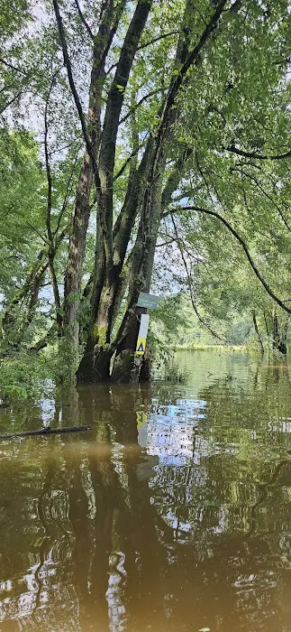 Howard Island South Campsite Picture 3