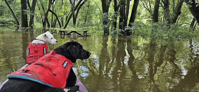 Howard Island South Campsite Picture 6