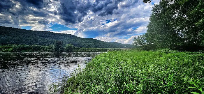 Howard Island South Campsite Picture 8