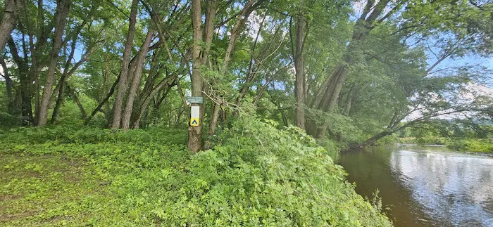Howard Island South Campsite Picture 9