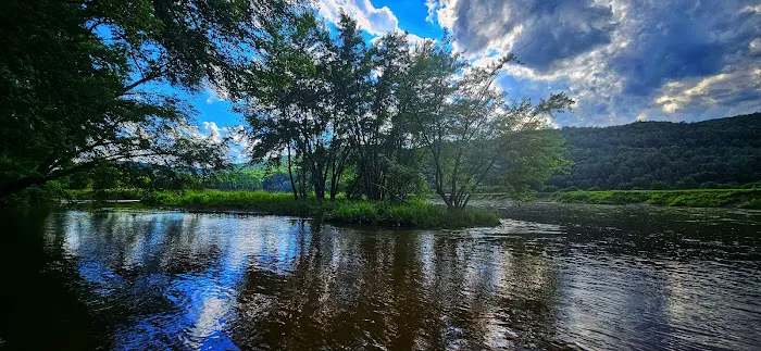 Howard Island South Campsite Picture 7