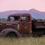 Sacred Nectar Sanctuary