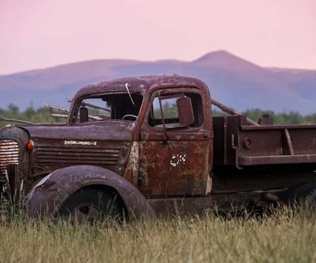 Sacred Nectar Sanctuary