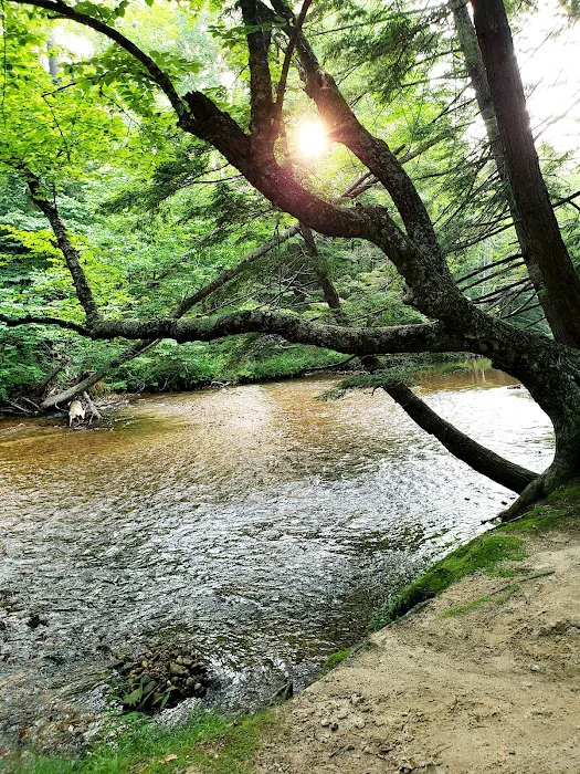 Tamworth Campground (A Modern America Campground) Picture 9