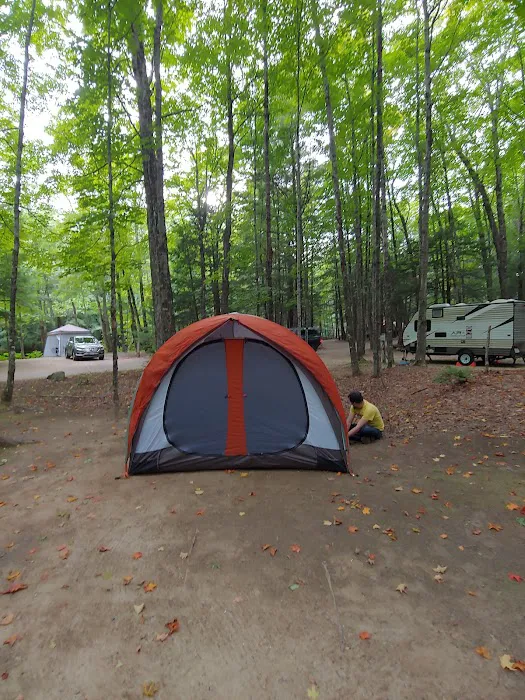 Tamworth Campground (A Modern America Campground) Picture 5