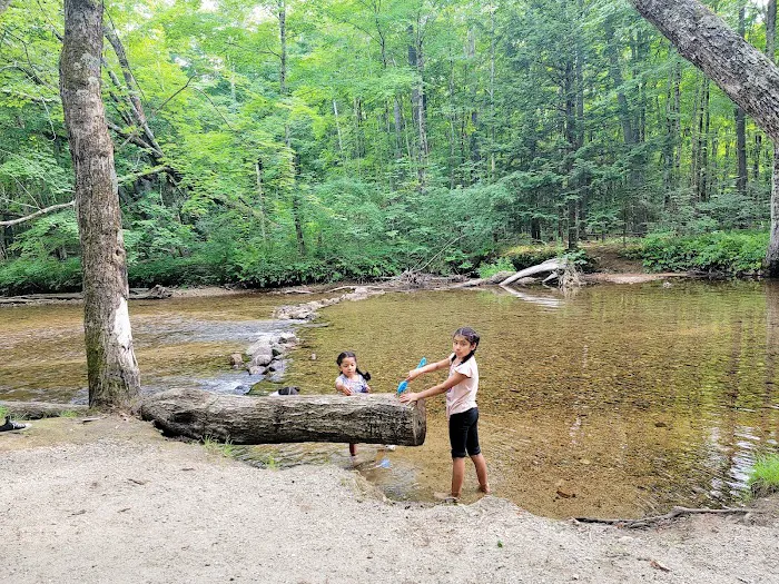 Tamworth Campground (A Modern America Campground) Picture 2