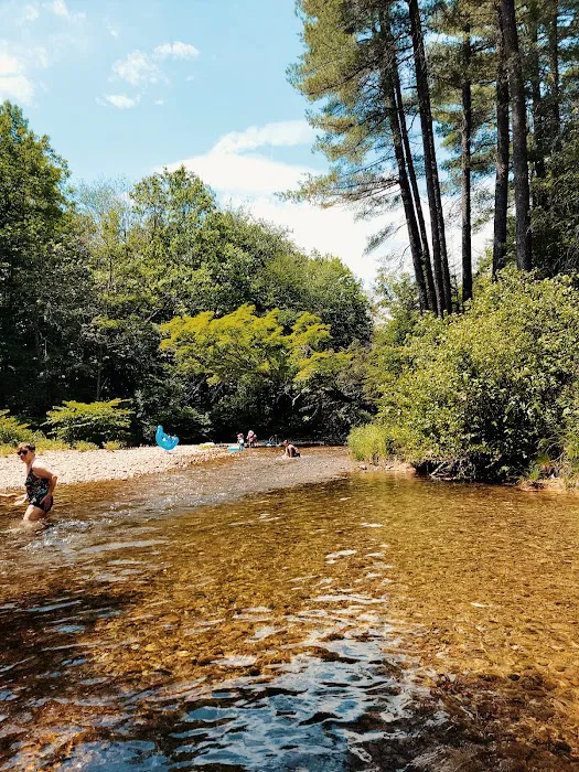 Tamworth Campground (A Modern America Campground) Picture 1