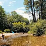 Tamworth Campground (A Modern America Campground)