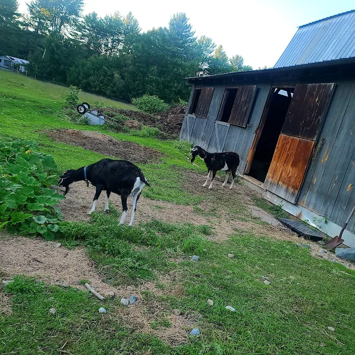 Tamworth Campground (A Modern America Campground) Picture 10