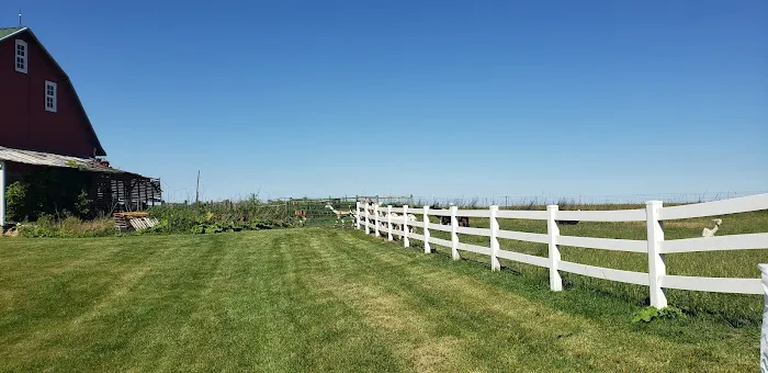 Asheville West KOA Holiday Picture 7