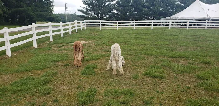 Asheville West KOA Holiday Picture 5