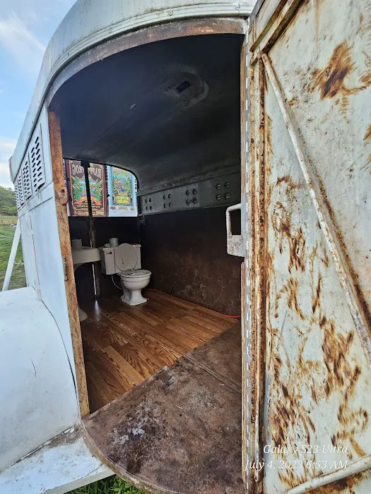 Stoney Creek Oasis Picture 3