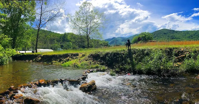 Stoney Creek Oasis Picture 6