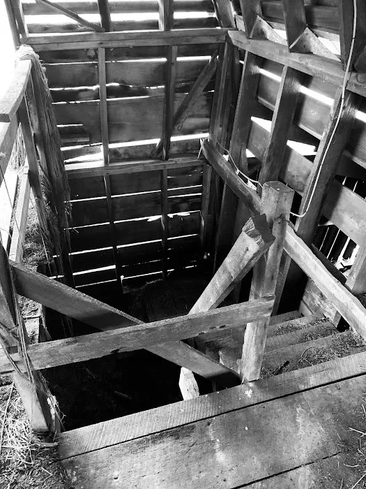 Stoney Creek Oasis Picture 7