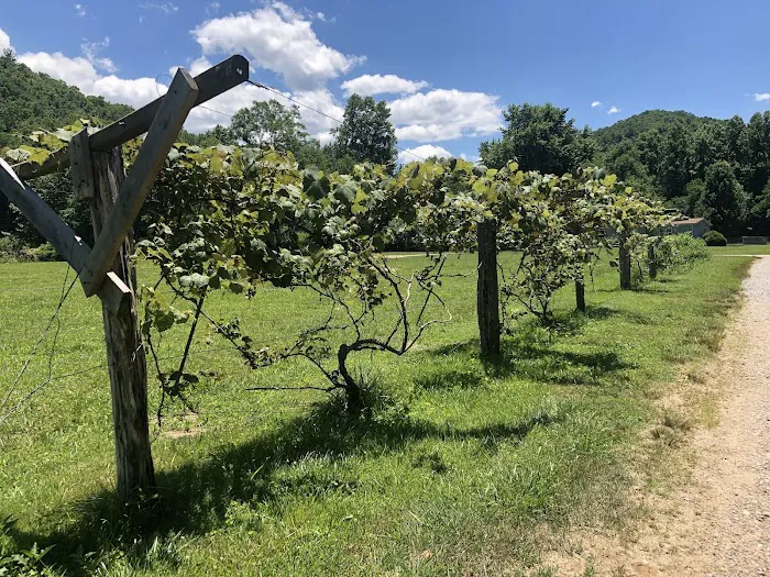 Cartoogechaye Creek Campground Picture 2