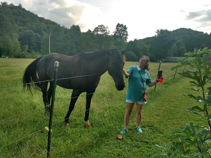 Cartoogechaye Creek Campground Picture 4