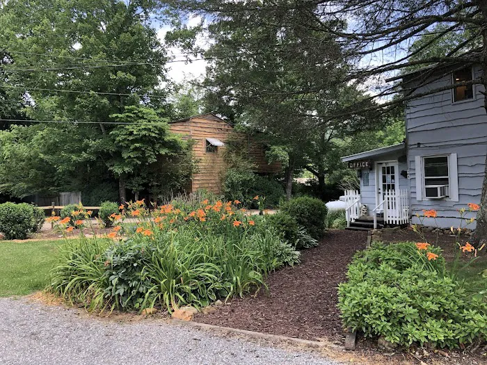 Cartoogechaye Creek Campground Picture 5