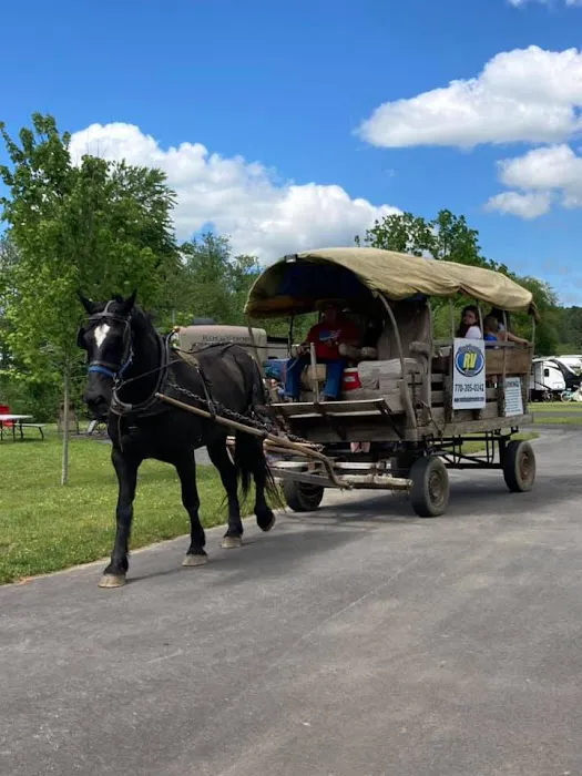 Willow Valley RV Resort Picture 10
