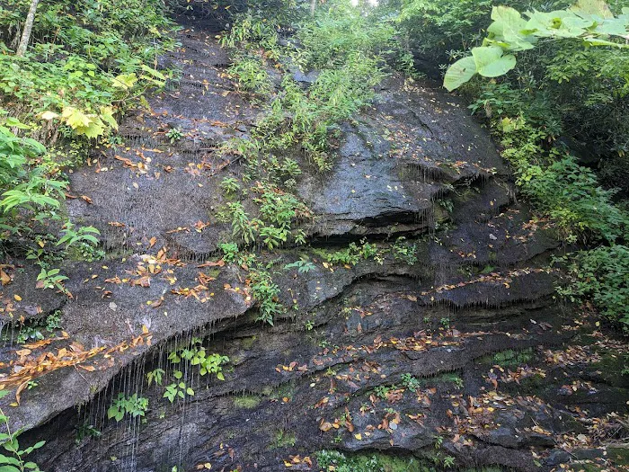 Black Rock Mountain State Park Campground Picture 5