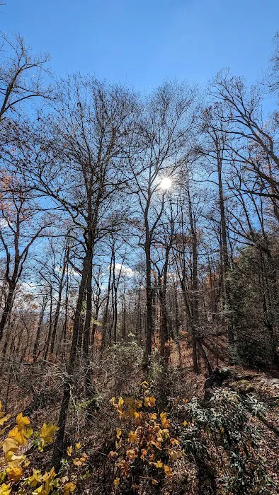 Black Rock Mountain State Park Campground Picture 4