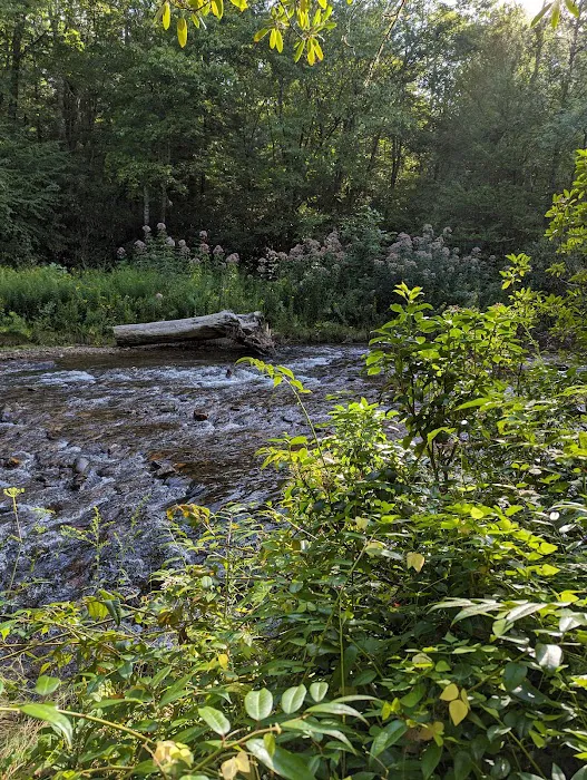 Standing Indian Campground Picture 3