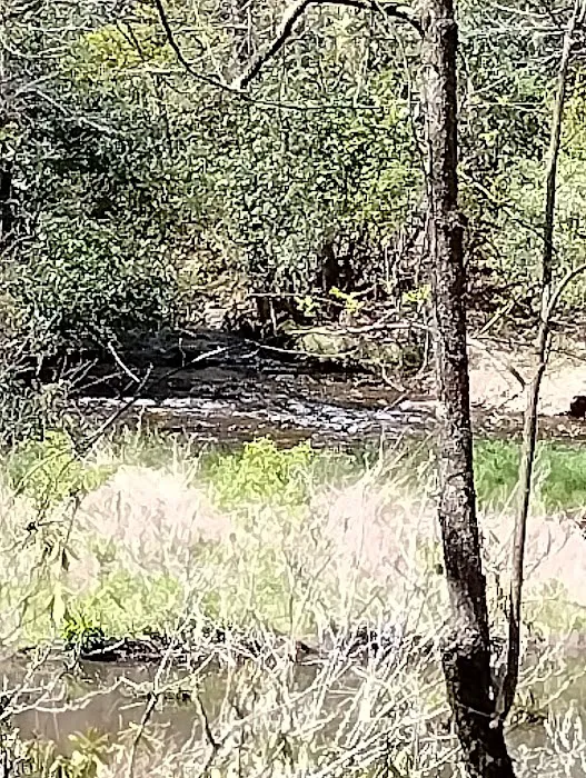 Standing Indian Campground Picture 5