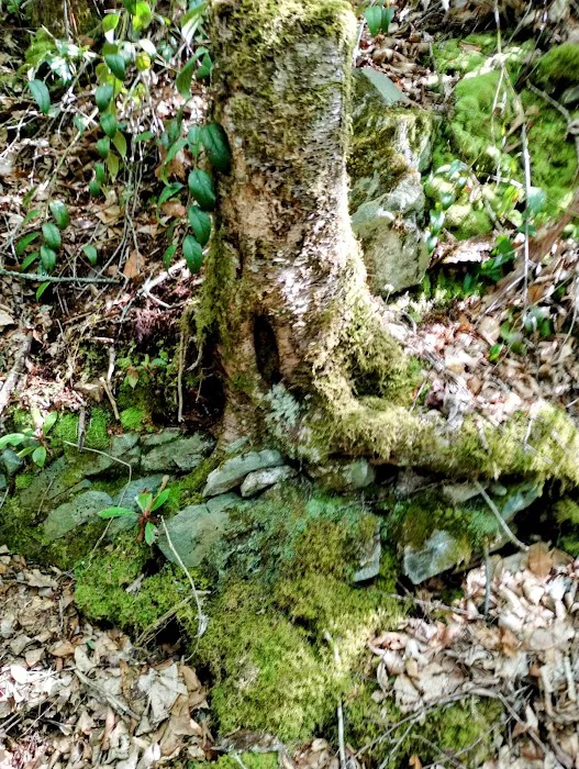 Standing Indian Campground Picture 4