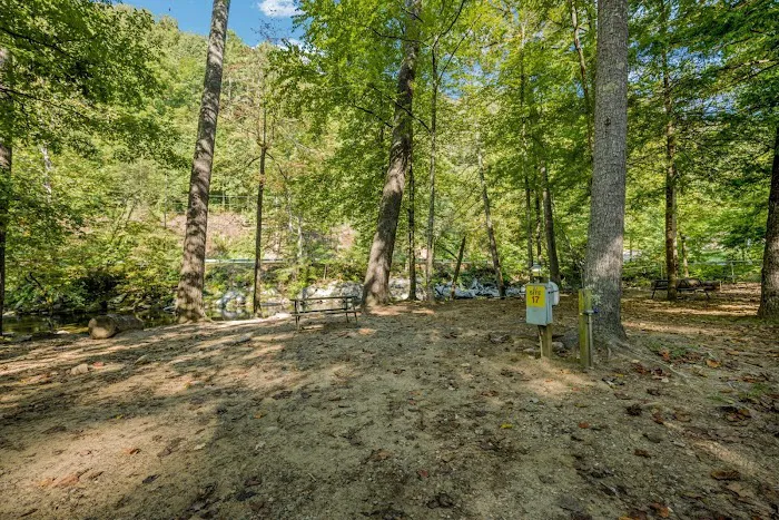 Yogi Bear's Jellystone Park™ - Cherokee NC Picture 2