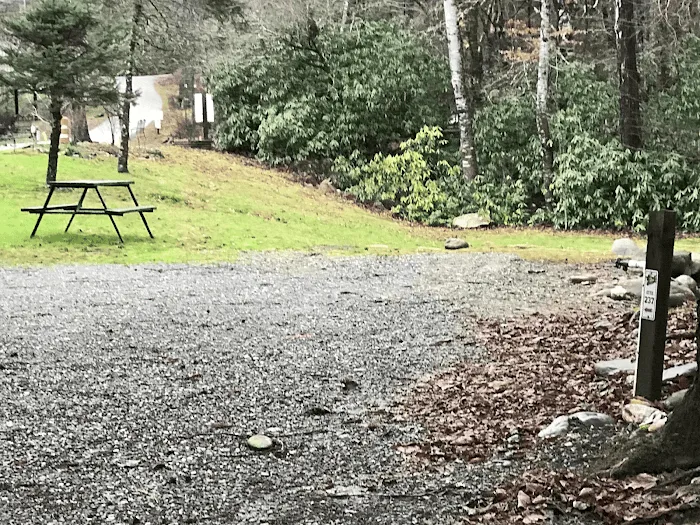 Yogi Bear's Jellystone Park™ - Cherokee NC Picture 10