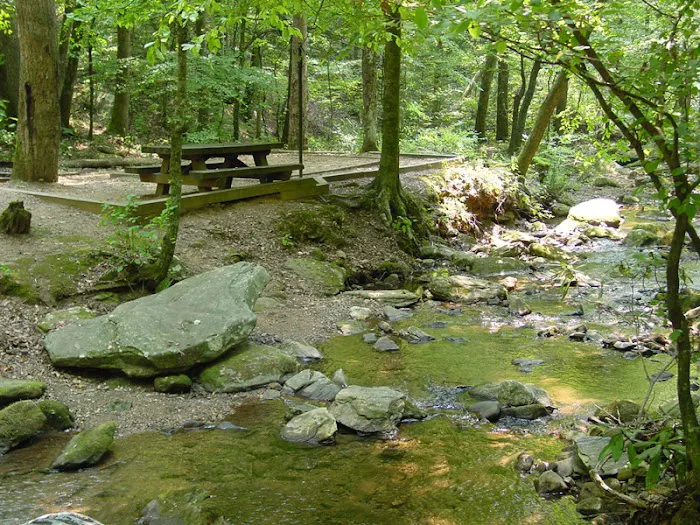 Tallulah River Campground Picture 5