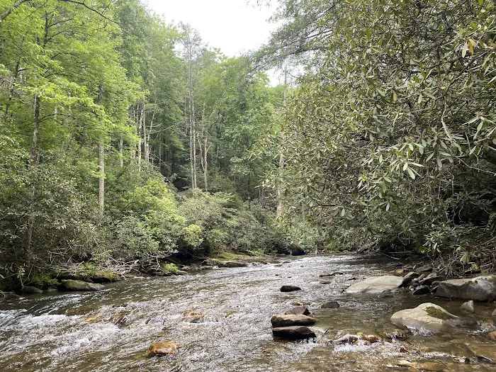 Tallulah River Campground Picture 4