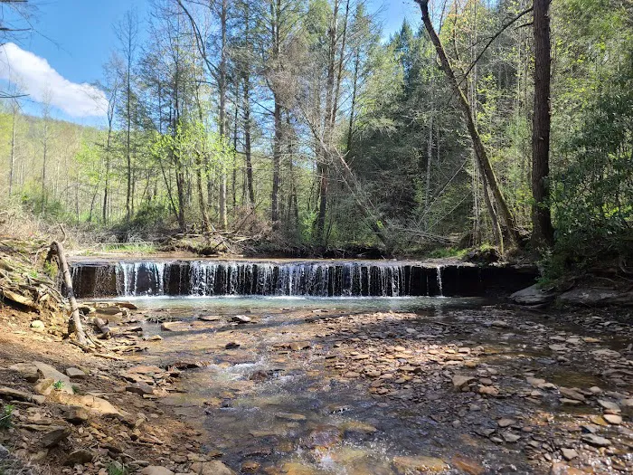 Brimstone Campground Picture 4