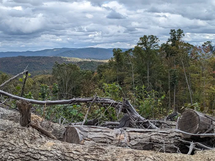 Brimstone Campground Picture 5