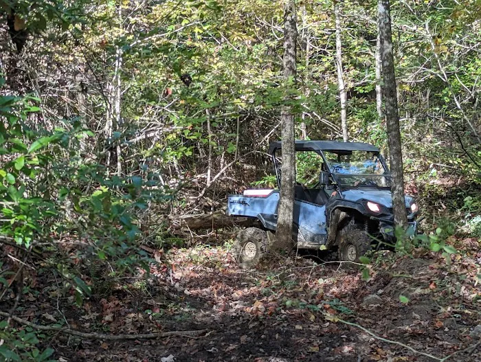 Brimstone Campground Picture 6