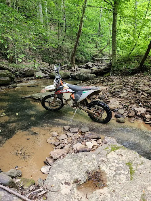 Brimstone Campground Picture 8