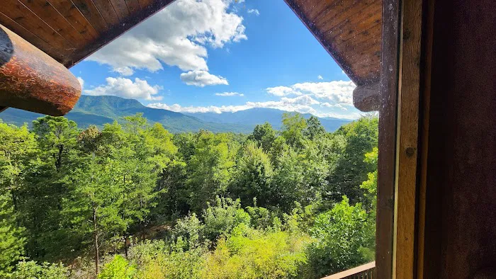 American Views Cabin Picture 5