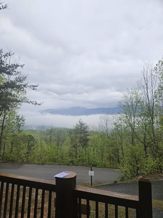 American Views Cabin Picture 9