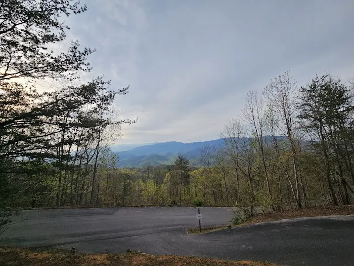 American Views Cabin Picture 7
