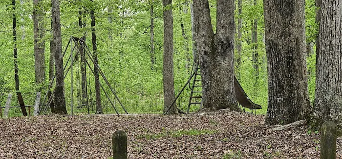 Pike State Forest Campground Picture 5