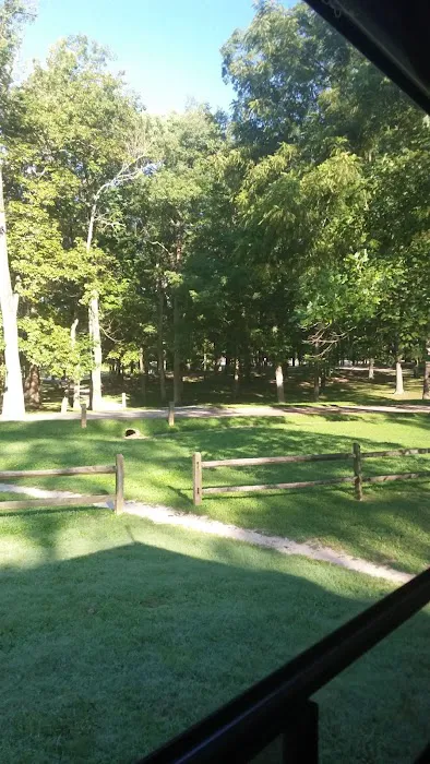 Lake Lincoln Campground Picture 1