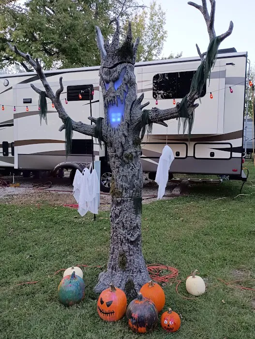Lake Lincoln Campground Picture 6