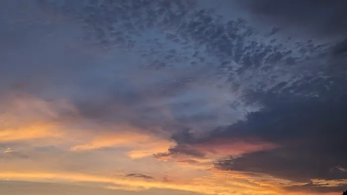 The Bee Happy Campground Picture 5