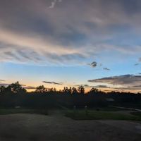 The Bee Happy Campground ico