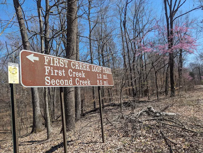 First Creek 1 Campground Picture 2