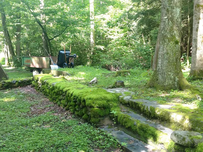 Round Bottom Campground Picture 7